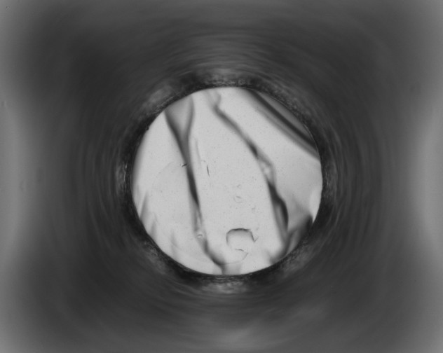 X0000082950278200703020156