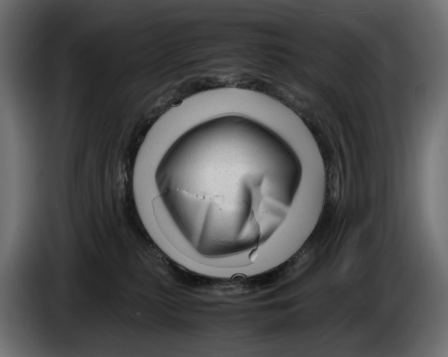 X0000082950279200703020156