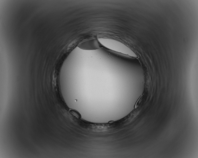 X0000082950282200703020156