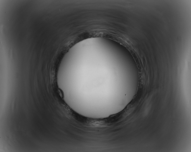 X0000082950283200703020156