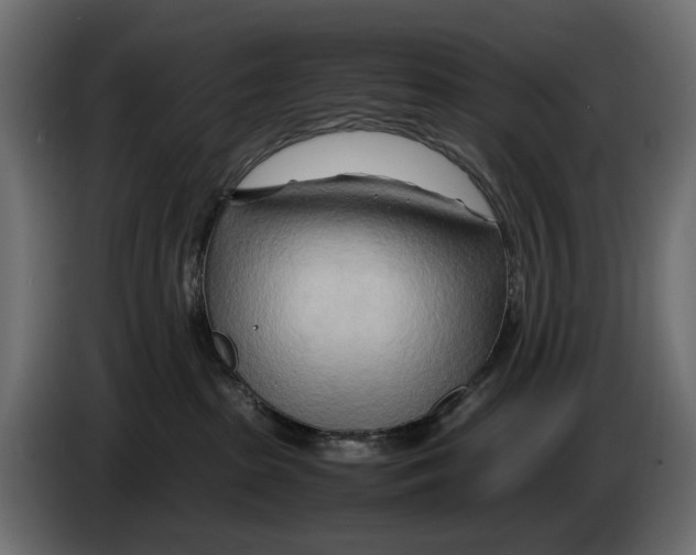 X0000082950285200703020156