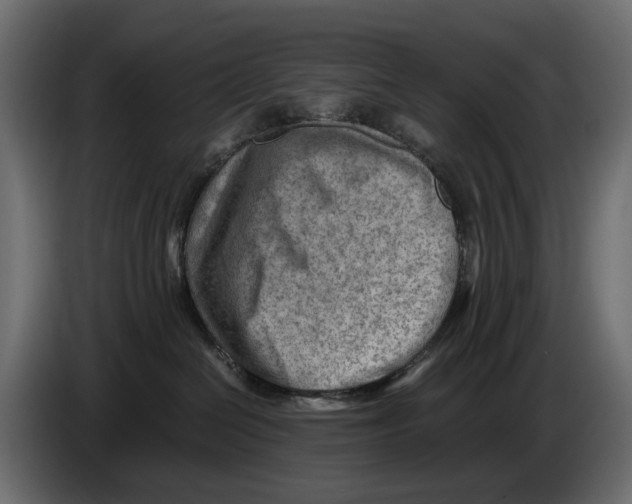 X0000082950286200703020156