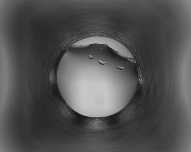 X0000082950287200703020156