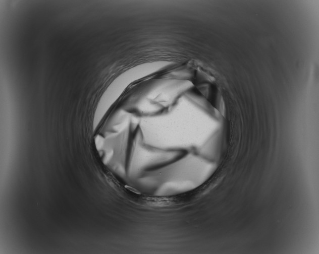 X0000082950288200703020156