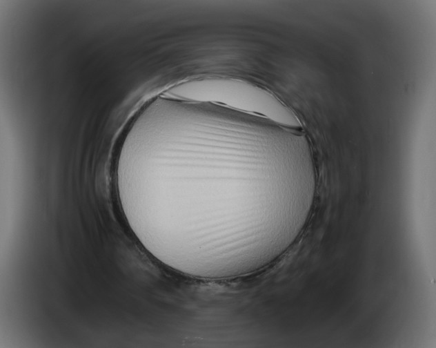 X0000082950290200703020156