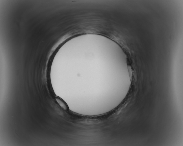 X0000082950292200703020156