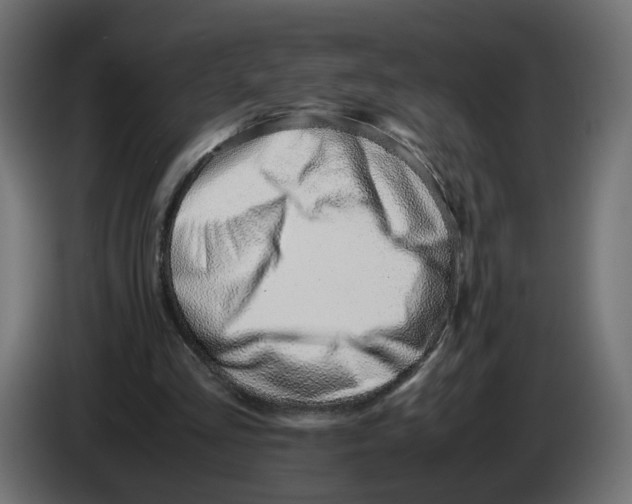 X0000082950293200703020156