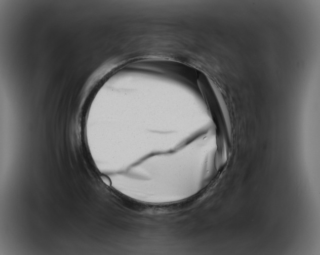 X0000082950294200703020156