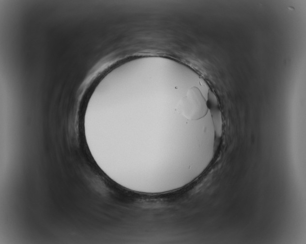 X0000082950296200703020156