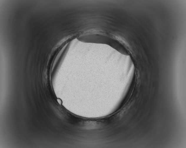 X0000082950298200703020156