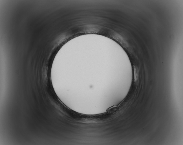 X0000082950300200703020156