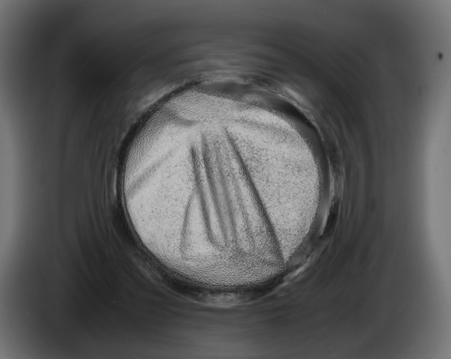 X0000082950301200703020156