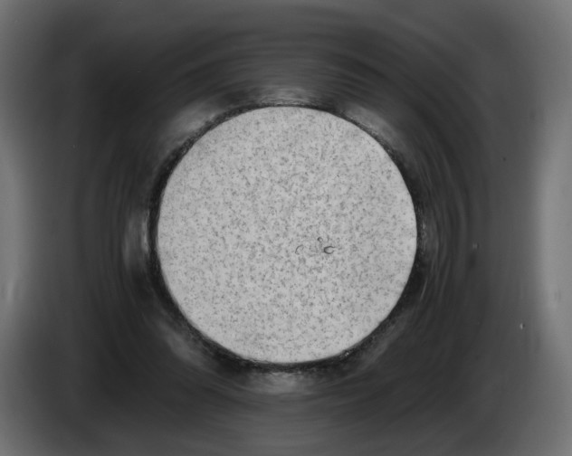 X0000082950302200703020156