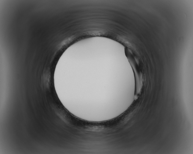 X0000082950304200703020156