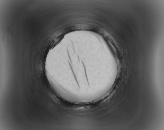 X0000082950305200703020155