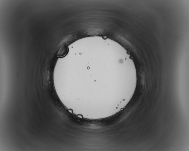 X0000082950308200703020155