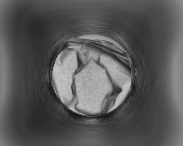 X0000082950313200703020155