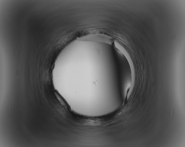 X0000082950317200703020155