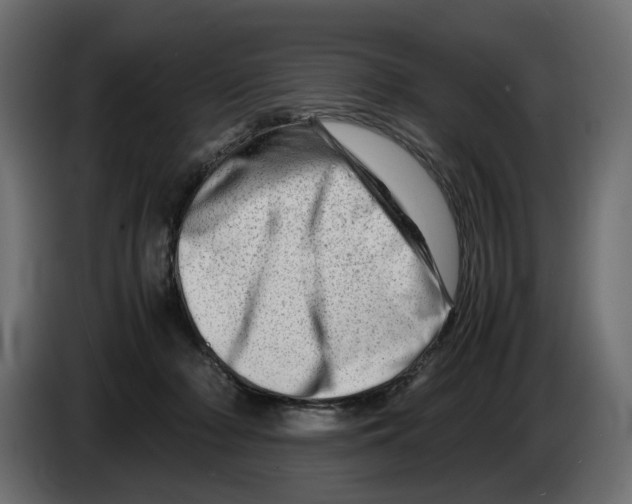 X0000082950318200703020155