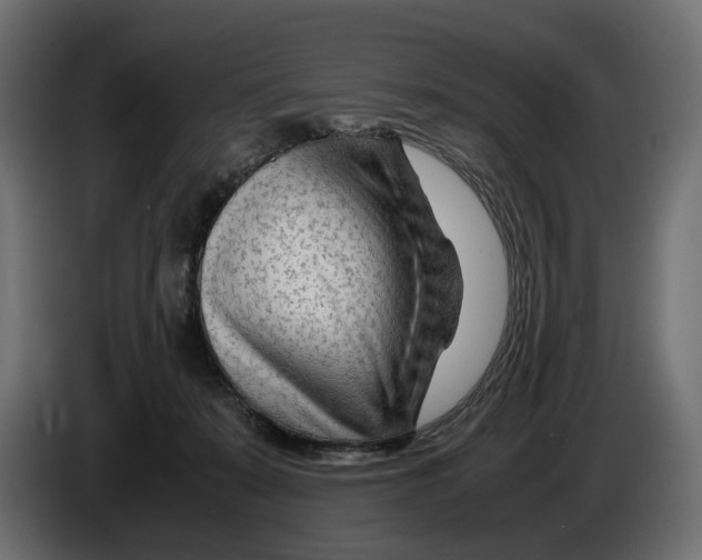 X0000082950319200703020155