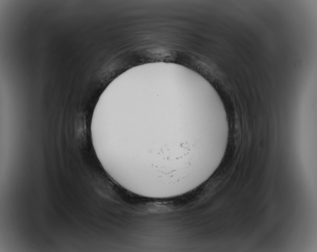 X0000082950320200703020155