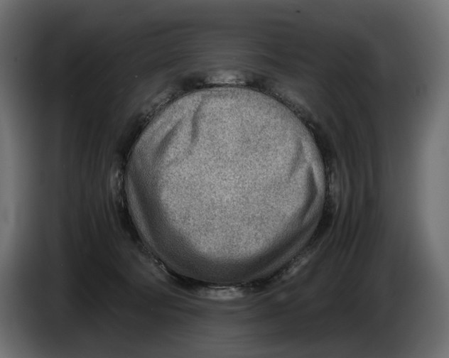 X0000082950322200703020155