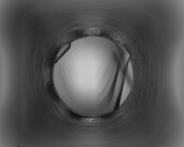 X0000082950323200703020155