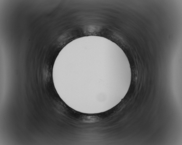 X0000082950324200703020155