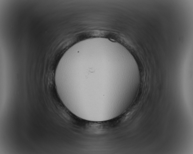 X0000082950325200703020155