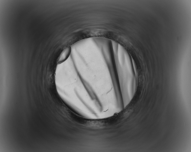 X0000082950327200703020155