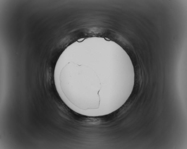 X0000082950328200703020155