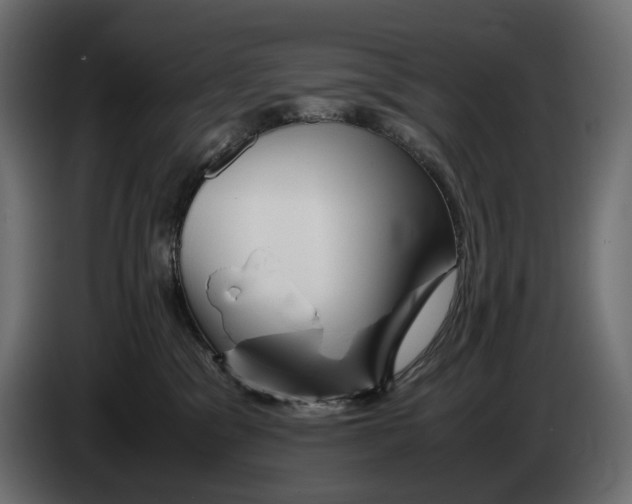 X0000082950329200703020155