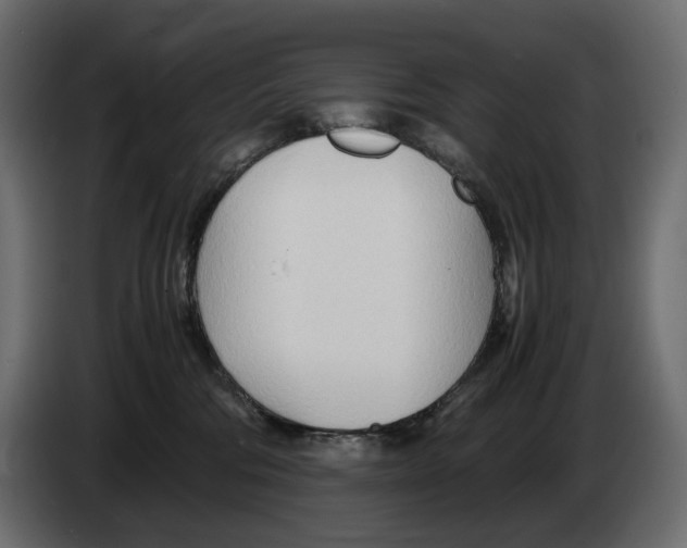 X0000082950330200703020155