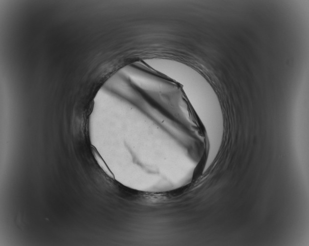 X0000082950333200703020155