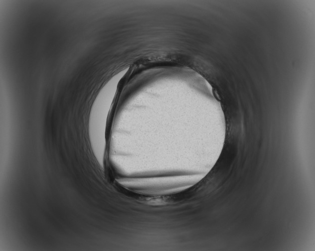 X0000082950335200703020155