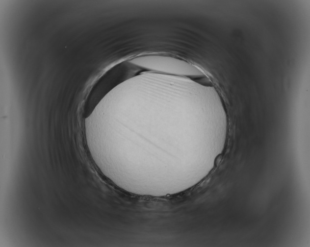 X0000082950337200703020154