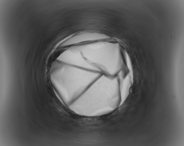 X0000082950338200703020154