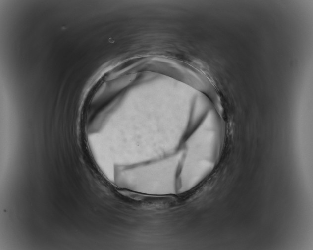 X0000082950340200703020154