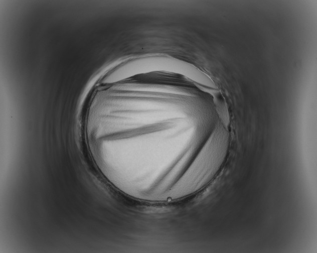 X0000082950342200703020154