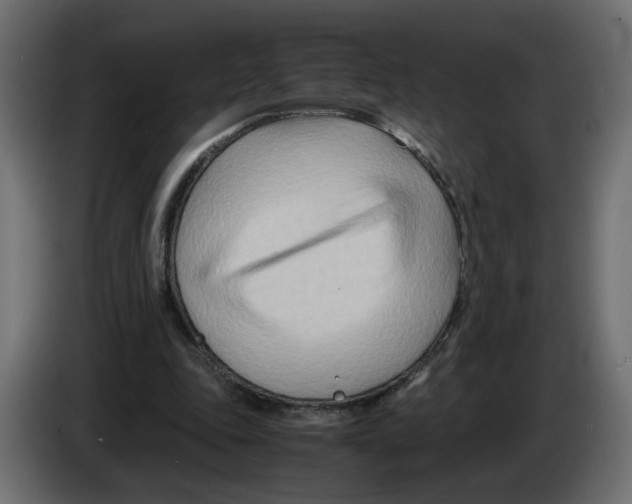 X0000082950343200703020154