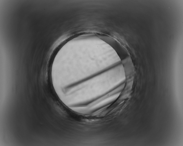 X0000082950344200703020154