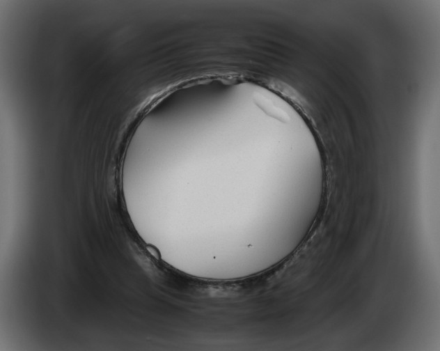 X0000082950345200703020154