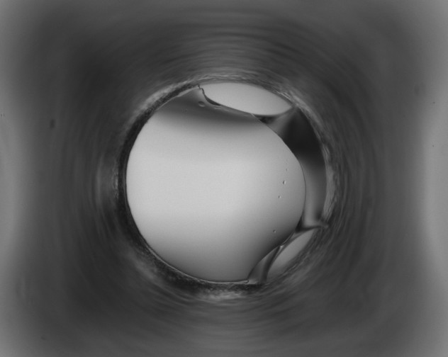 X0000082950348200703020154