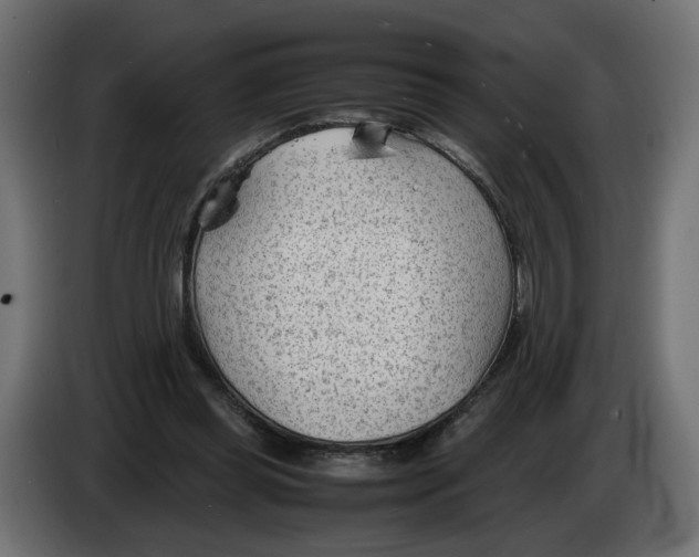 X0000082950349200703020154