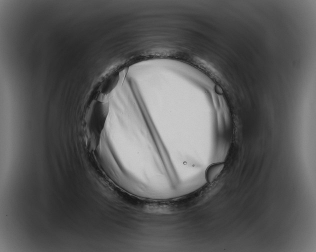 X0000082950354200703020154