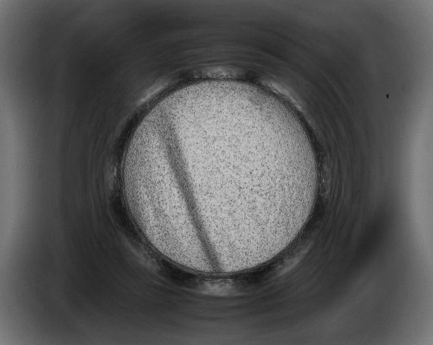 X0000082950355200703020154