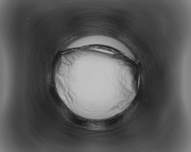 X0000082950359200703020154