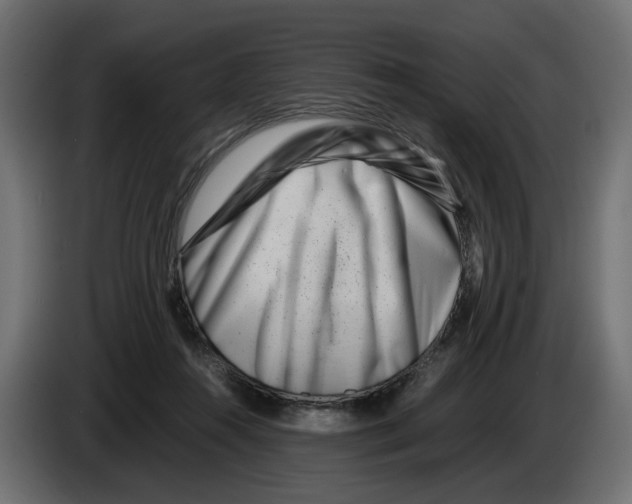 X0000082950360200703020155