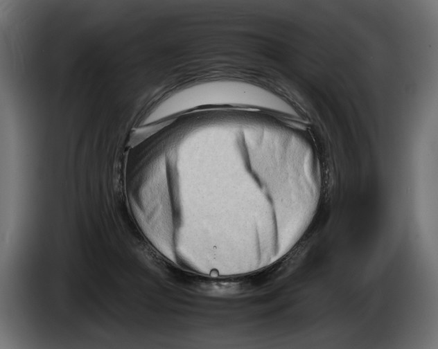 X0000082950361200703020155