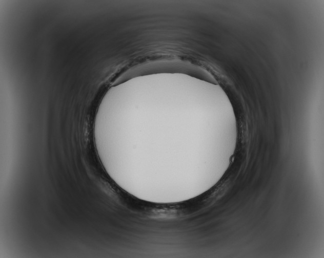 X0000082950362200703020155